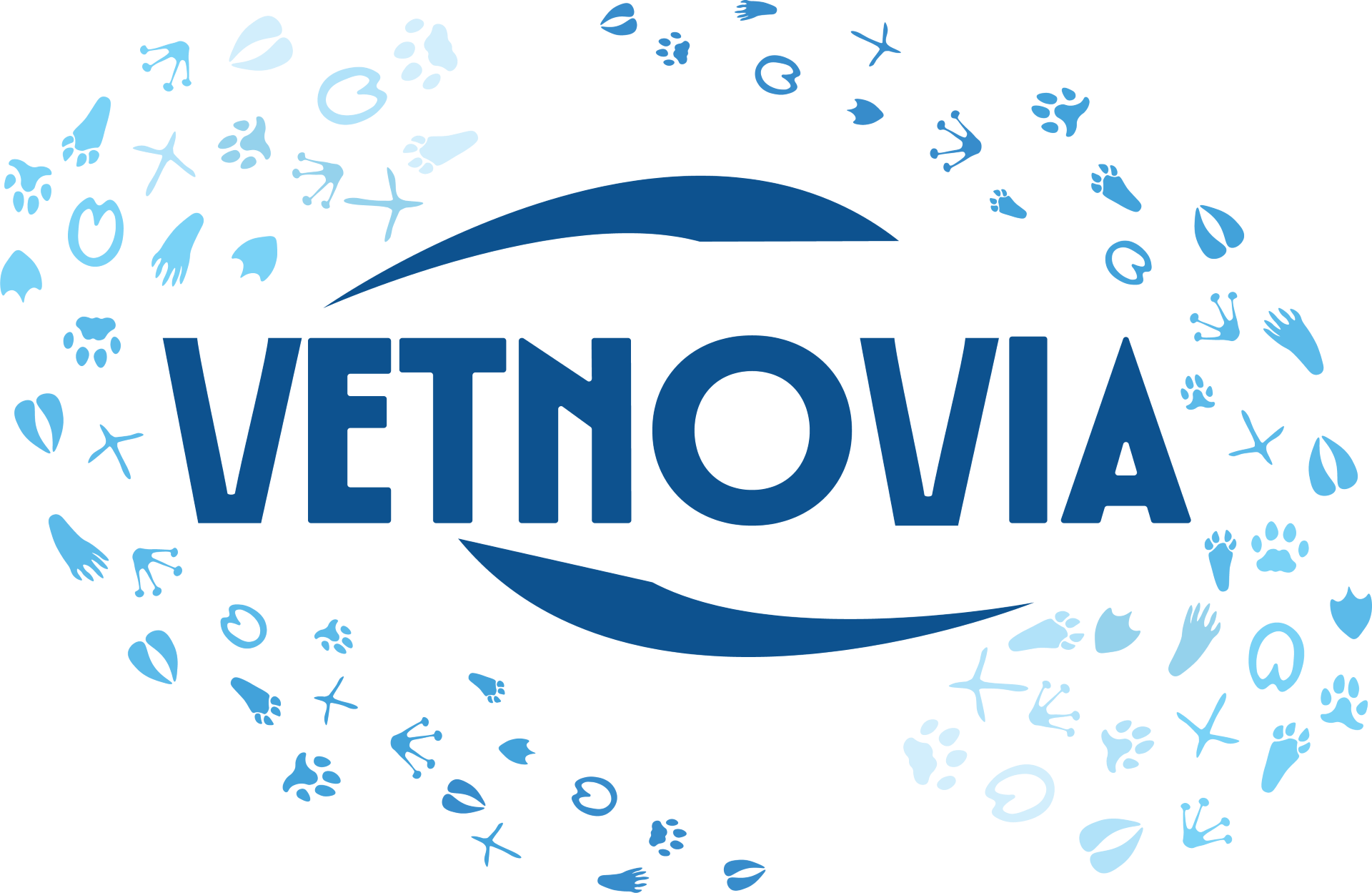 VetNovia — AI-powered veterinary notes